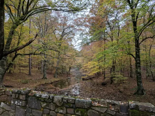 Czyszczenie parków